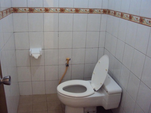 Teras Subak Jatiluwih image 7