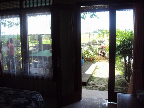 Teras Subak Jatiluwih image 8