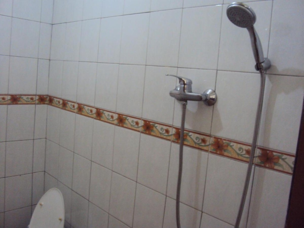 Teras Subak Jatiluwih Image 13