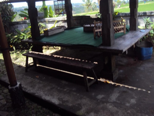 Teras Subak Jatiluwih image 14