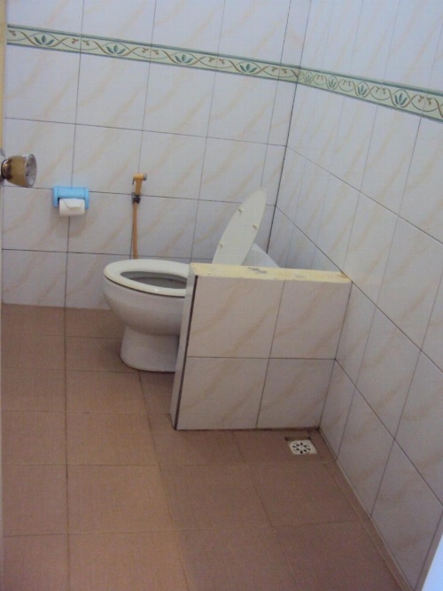 Teras Subak Jatiluwih image 16