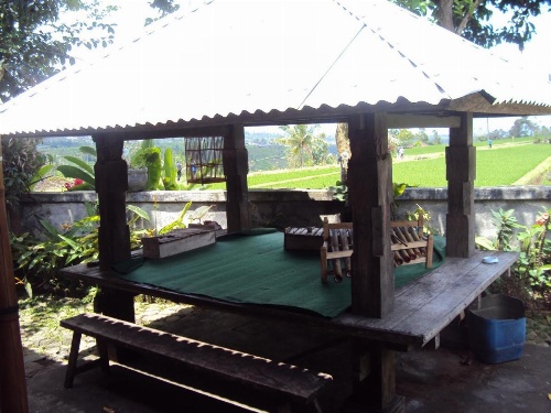 Teras Subak Jatiluwih image 23