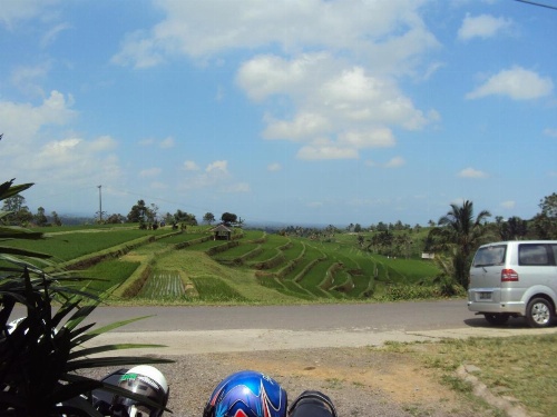 Teras Subak Jatiluwih image 26