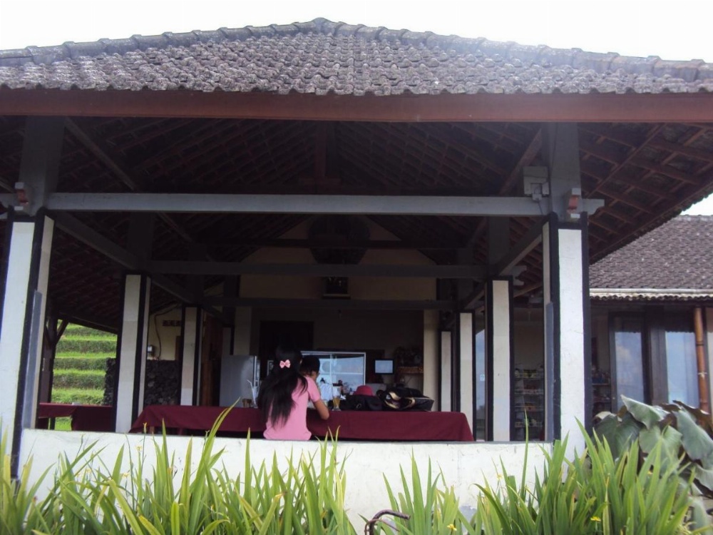 Teras Subak Jatiluwih Image 27