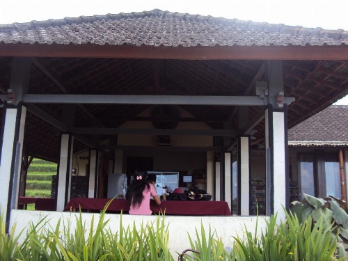 Teras Subak Jatiluwih image 27