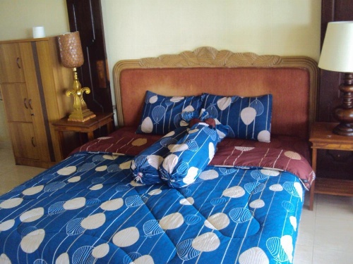 Teras Subak Jatiluwih image 33