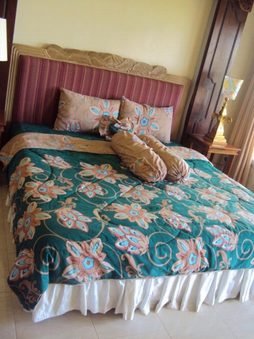 Teras Subak Jatiluwih image 35