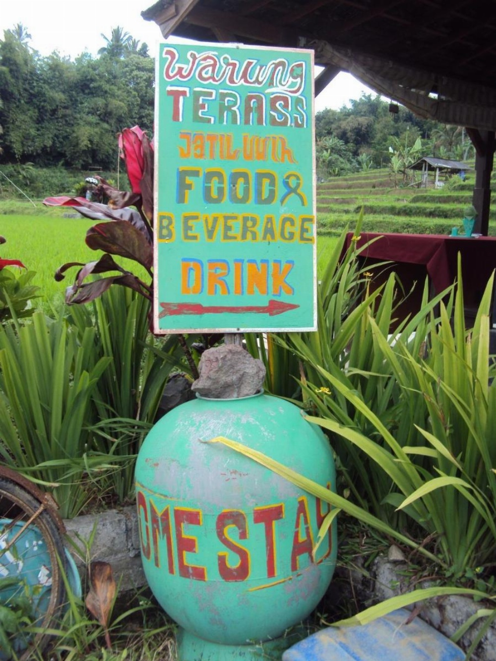 Teras Subak Jatiluwih Image 36