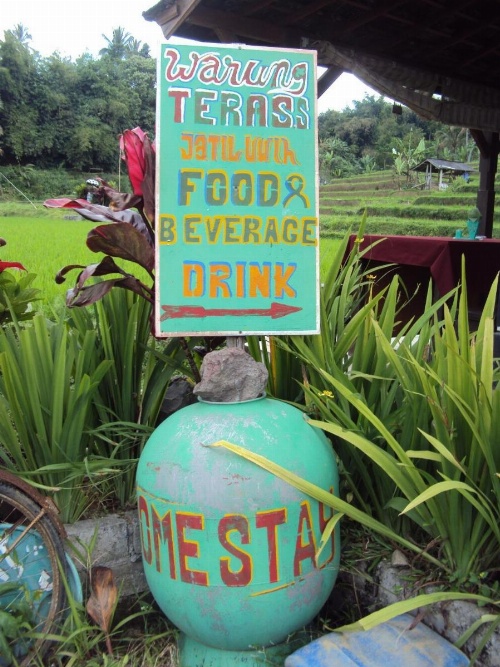 Teras Subak Jatiluwih image 36