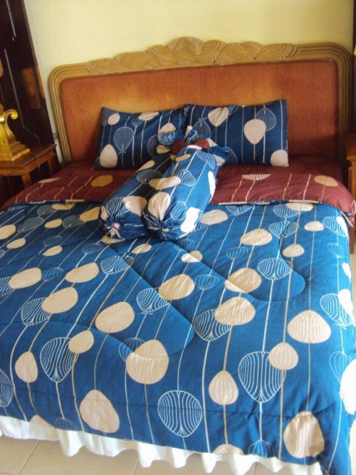 Teras Subak Jatiluwih image 41