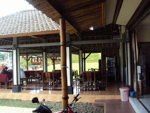 Teras Subak Jatiluwih image 5