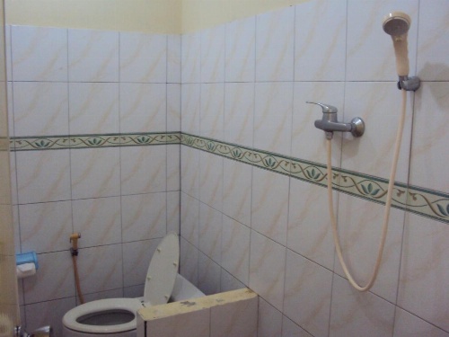 Teras Subak Jatiluwih image 6